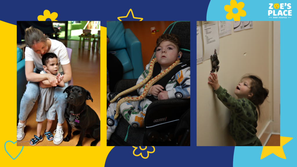 World Animal Day Animal Therapy at Zoe's Place